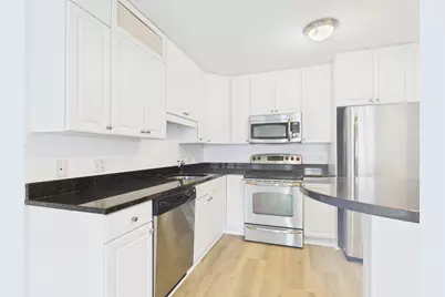 10 E Ontario Street #4207, Chicago, IL 60611 - Photo 9