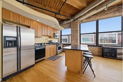 2310 S Canal Street #201, Chicago, IL 60616 - Photo 9