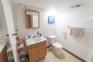 11258 S Albany Ave, Chicago, IL 60655 - Photo 13