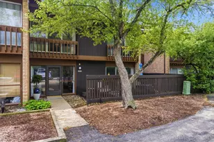 5936 Greenview Rd, Lisle, IL 60532 - Photo 1