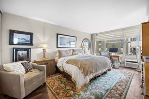 1000 N Lake Shore Dr, Chicago, IL 60611 - Photo 17