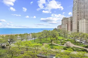 1000 N Lake Shore Dr, Chicago, IL 60611 - Photo 27