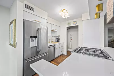 1000 N Lake Shore Drive #808, Chicago, IL 60611 - Photo 9