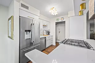 1000 N Lake Shore Dr, Chicago, IL 60611 - Photo 9