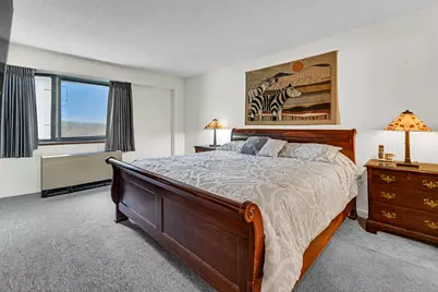 1169 S Plymouth Court #115, Chicago, IL 60605 - Photo 21