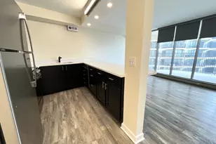 300 N State St, Chicago, IL 60654 - Photo 7