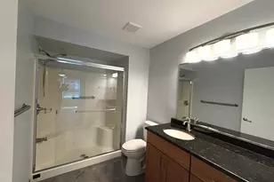 258 Odlum Ct, Schaumburg, IL 60194 - Photo 9
