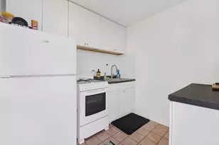 1555 N Dearborn Pkwy, Chicago, IL 60610 - Photo 9