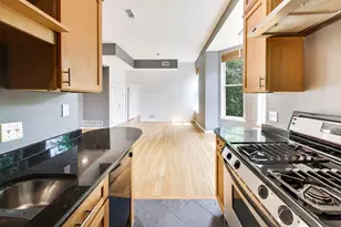 223 W Wisconsin St, Chicago, IL 60614 - Photo 7