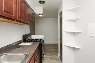 1040 W Hollywood Ave, Chicago, IL 60660 - Photo 5
