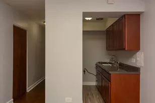 1040 W Hollywood Ave, Chicago, IL 60660 - Photo 3