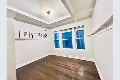 4619 S Michigan Avenue #1S, Chicago, IL 60653 - Photo 9