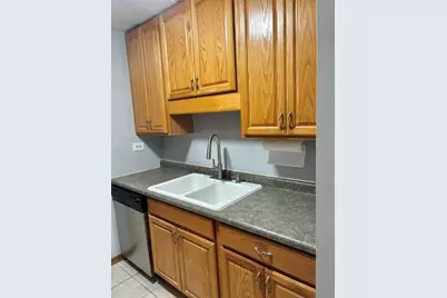 18 E Old Willow Road #425N, Prospect Heights, IL 60070 - Photo 5
