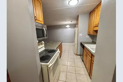 18 E Old Willow Road #425N, Prospect Heights, IL 60070 - Photo 3