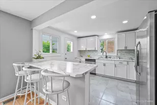 9137 Barberry Ln, Des Plaines, IL 60016 - Photo 9