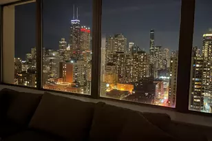 1355 N Sandburg Terrace, Chicago, IL 60610 - Photo 23
