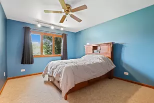 220 Grant Ave, Frankfort, IL 60423 - Photo 19