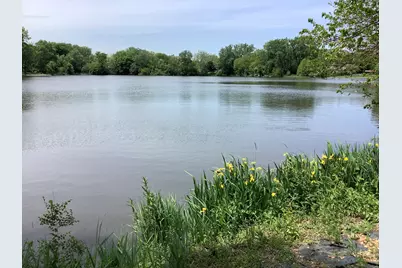8408 Lakeside Drive, Downers Grove, IL 60516 - Photo 11