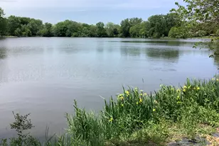 8408 Lakeside Dr, Downers Grove, IL 60516 - Photo 11