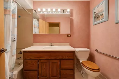 8408 Lakeside Drive, Downers Grove, IL 60516 - Photo 37