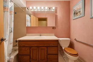 8408 Lakeside Dr, Downers Grove, IL 60516 - Photo 37