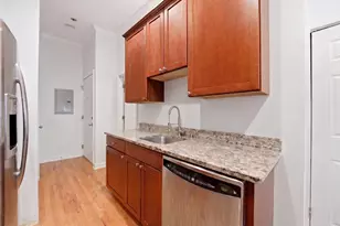 1725 W Ellen St, Chicago, IL 60622 - Photo 7
