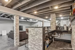 502 S Louis St, Mount Prospect, IL 60056 - Photo 27