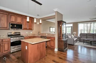 8638 Saddlebred Ct, Frankfort, IL 60423 - Photo 9