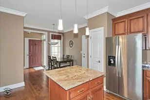 8638 Saddlebred Ct, Frankfort, IL 60423 - Photo 11