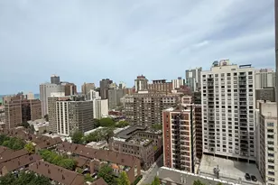 1255 N Sandburg Terrace, Chicago, IL 60610 - Photo 5