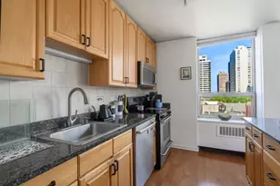 70 W Burton Pl, Chicago, IL 60610 - Photo 11