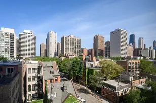 70 W Burton Pl, Chicago, IL 60610 - Photo 15