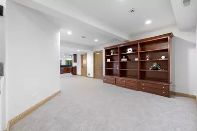 101 Windmill Road, Orland Park, IL 60467 - Photo 43