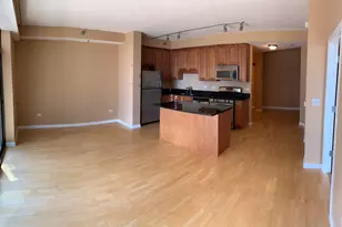 1250 S Indiana Ave, Chicago, IL 60605 - Photo 3