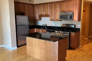 1250 S Indiana Ave, Chicago, IL 60605 - Photo 5