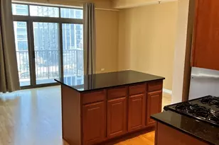 1250 S Indiana Ave, Chicago, IL 60605 - Photo 7