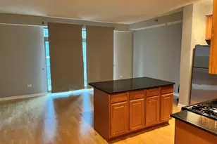 1250 S Indiana Ave, Chicago, IL 60605 - Photo 13