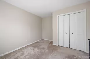 250 Chasse Cir, Saint Charles, IL 60174 - Photo 29