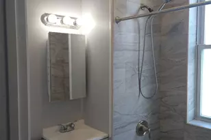 209 S Albany Ave, Chicago, IL 60612 - Photo 5