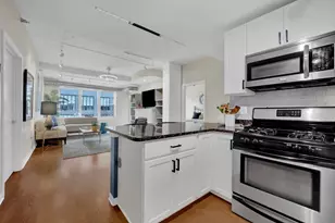 909 W Washington Blvd, Chicago, IL 60607 - Photo 11