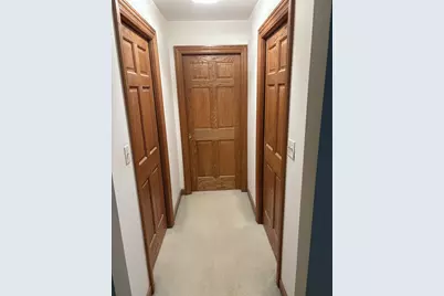 9937 W Kuse Road, Frankfort, IL 60423 - Photo 19