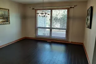 9937 W Kuse Rd, Frankfort, IL 60423 - Photo 11