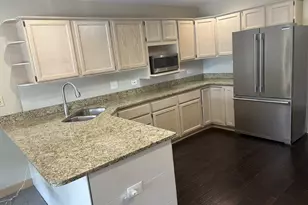 9937 W Kuse Rd, Frankfort, IL 60423 - Photo 5
