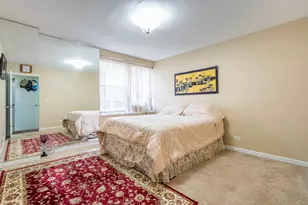 850 N Dewitt Pl, Chicago, IL 60611 - Photo 19
