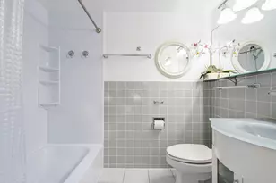 850 N Dewitt Pl, Chicago, IL 60611 - Photo 15