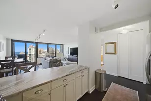 1560 N Sandburg Terrace, Chicago, IL 60610 - Photo 3