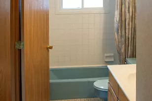 921 S Iowa Ave, Addison, IL 60101 - Photo 15