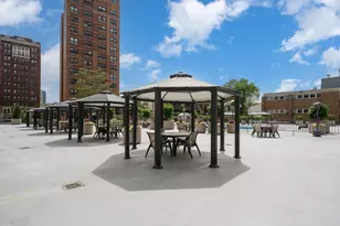 525 W Hawthorne Pl, Chicago, IL 60657 - Photo 21