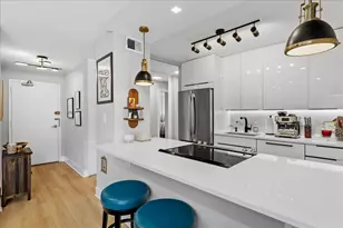 1355 N Sandburg Terrace, Chicago, IL 60610 - Photo 13