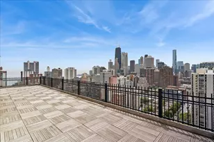 1355 N Sandburg Terrace, Chicago, IL 60610 - Photo 19